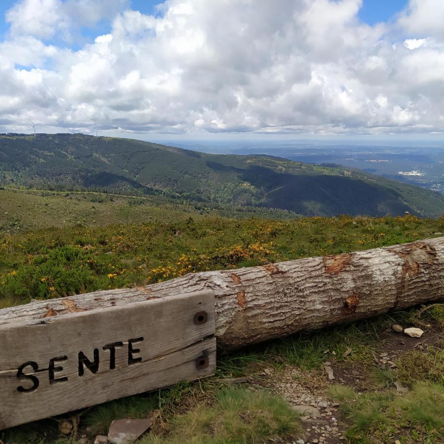 Res Do Chao Da Montanha Magica Appartement Lousã Buitenkant foto