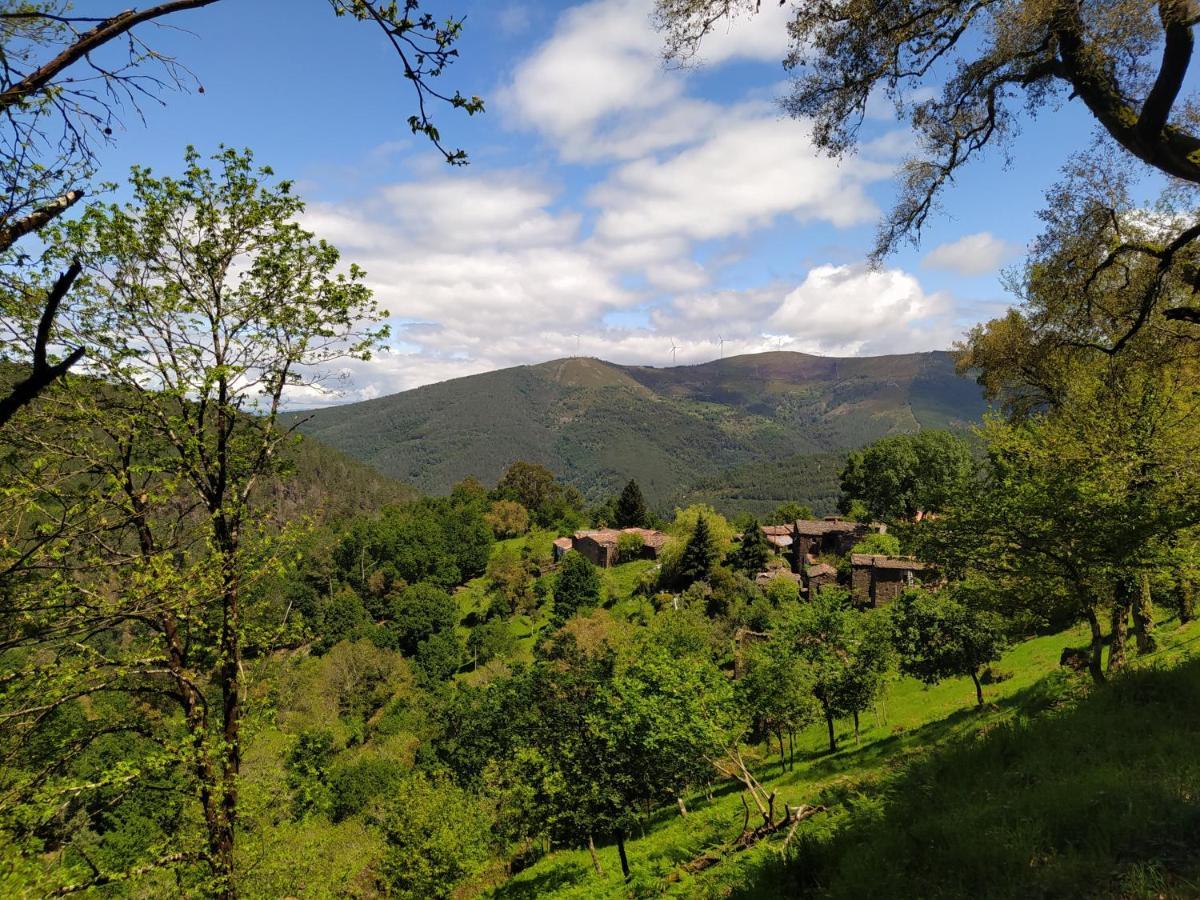 Res Do Chao Da Montanha Magica Appartement Lousã Buitenkant foto